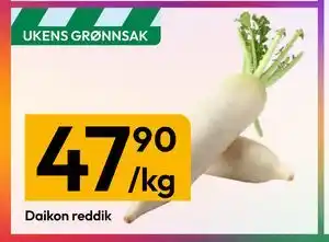 Gigaboks Daikon reddik tilbud