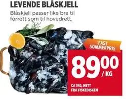 Meny LEVENDE BLÅSKJELL tilbud