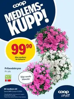 Matkroken Frilandskryss, Medlemspris tilbud