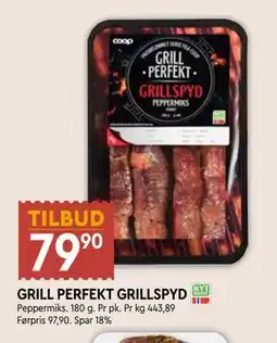 Coop Mega GRILL PERFEKT GRILLSPYD tilbud