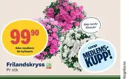 Coop Mega Frilandskryss, Medlemspris tilbud