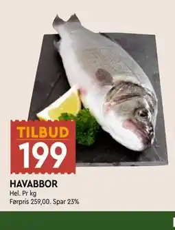 Coop Mega HAVABBOR tilbud
