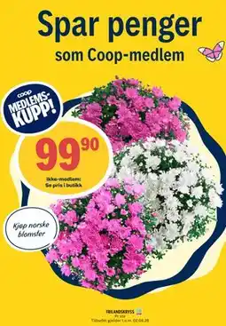 Coop Prix FRILANDSKRYSS, Medlemspris tilbud