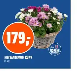 Coop Obs KRYSANTEMUM KURV tilbud