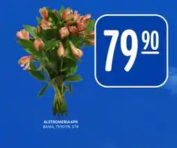 Rema 1000 ALSTROMERIA 6PK tilbud
