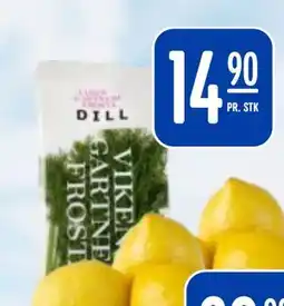Rema 1000 VIKEN GARTNER FROST DILL tilbud