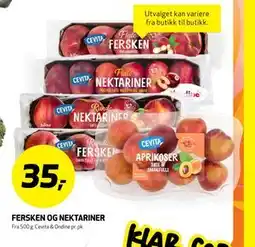 Bunnpris FERSKEN OG NEKTARINER tilbud