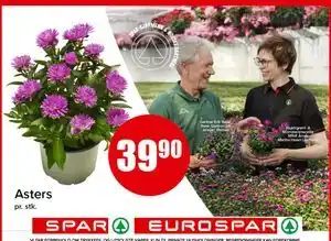 Spar Asters tilbud