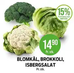 Kiwi BLOMKÅL, BROKKOLI, ISBERGSALAT tilbud