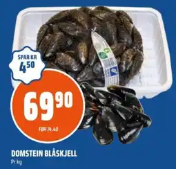 Coop Obs Domstein blåskjell tilbud