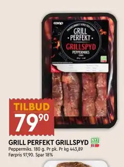Coop Mega GRILL PERFEKT GRILLSPYD tilbud