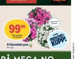 Coop Mega Frilandskryss, Medlemspris tilbud