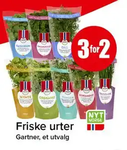 Spar Friske urter tilbud