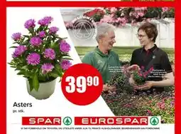 Spar Asters tilbud