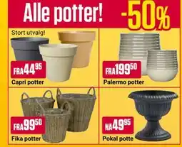 Europris Alle potter! tilbud