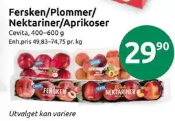 Joker Fersken/Plommer/Nektariner/Aprikoser tilbud