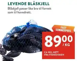 Jacobs LEVENDE BLÅSKJELL tilbud