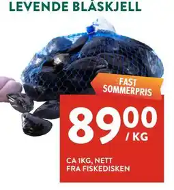 Jacobs LEVENDE BLÅSKJELL tilbud