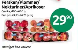 Joker Fersken/Plommer/Nektariner/Aprikoser tilbud