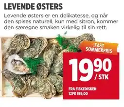 Meny LEVENDE ØSTERS tilbud