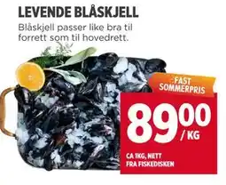 Meny LEVENDE BLÅSKJELL tilbud