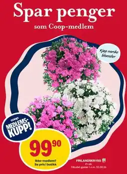Matkroken FRILANDSKRYSS, Medlemspris tilbud