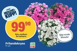Coop Obs Frilandskryss, Medlemspris tilbud