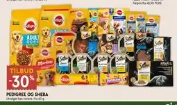 Coop Mega PEDIGREE OG SHEBA tilbud