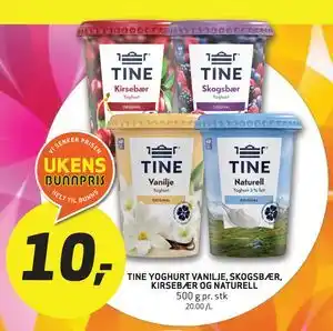 TINE YOGHURT VANILJE, SKOGSBÆR, KIRSEBÆR OG NATURELL