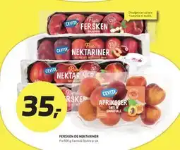 Bunnpris FERSKEN OG NEKTARINER tilbud
