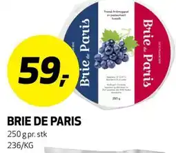 Bunnpris BRIE DE PARIS tilbud