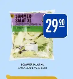 Rema 1000 SOMMERSALAT XL tilbud