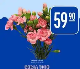 Rema 1000 GRENNELLIK 7 PK tilbud