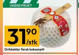 Gigaboks Drikkeklar fersk kokosnøtt tilbud