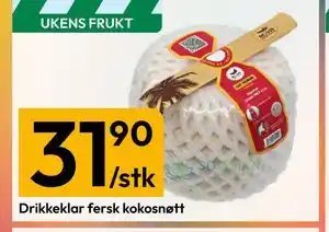 Gigaboks Drikkeklar fersk kokosnøtt tilbud