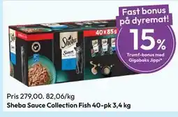 Gigaboks Sheba Sauce Collection Fish 40-pk 3,4 kg tilbud