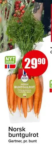 Spar Norsk buntgulrot tilbud