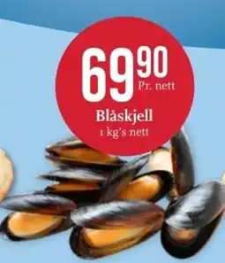 CC Mat Blåskjell tilbud