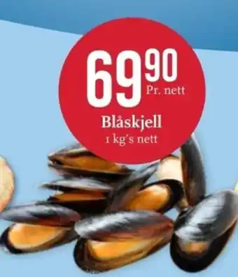 Blåskjell
