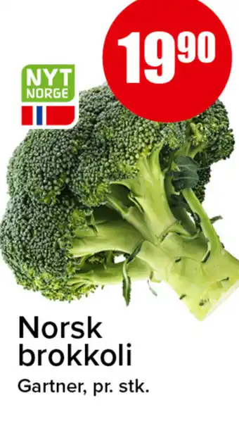 Norsk brokkoli
