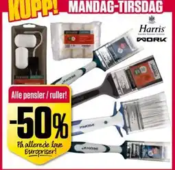 Europris Alle pensler / ruller! tilbud