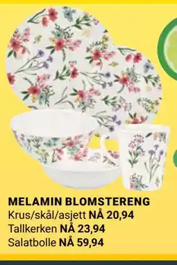 Europris MELAMIN BLOMSTERENG tilbud