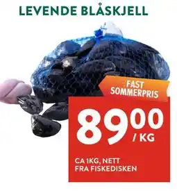 Jacobs LEVENDE BLÅSKJELL tilbud