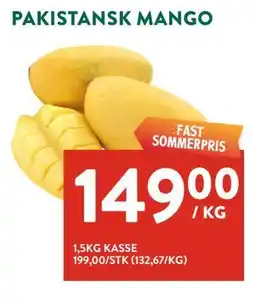 Jacobs PAKISTANSK MANGO tilbud