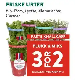Jacobs FRISKE URTER tilbud