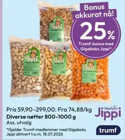 Gigaboks Diverse nøtter tilbud
