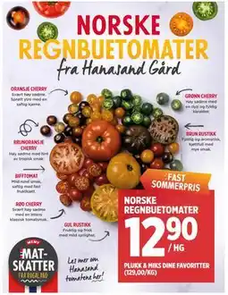 Meny NORSKE REGNBUETOMATER tilbud