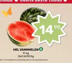 Matkroken HEL VANNMELON tilbud