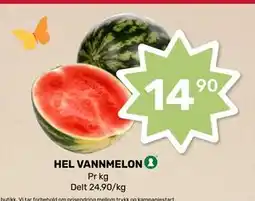 Matkroken DELT VANNMELON tilbud
