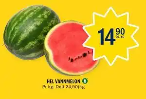 HEL VANNMELON